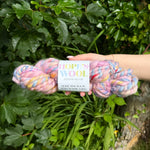 Hand holding a skein of multicolored yarn with a Hopes wool label against a green leafy background
