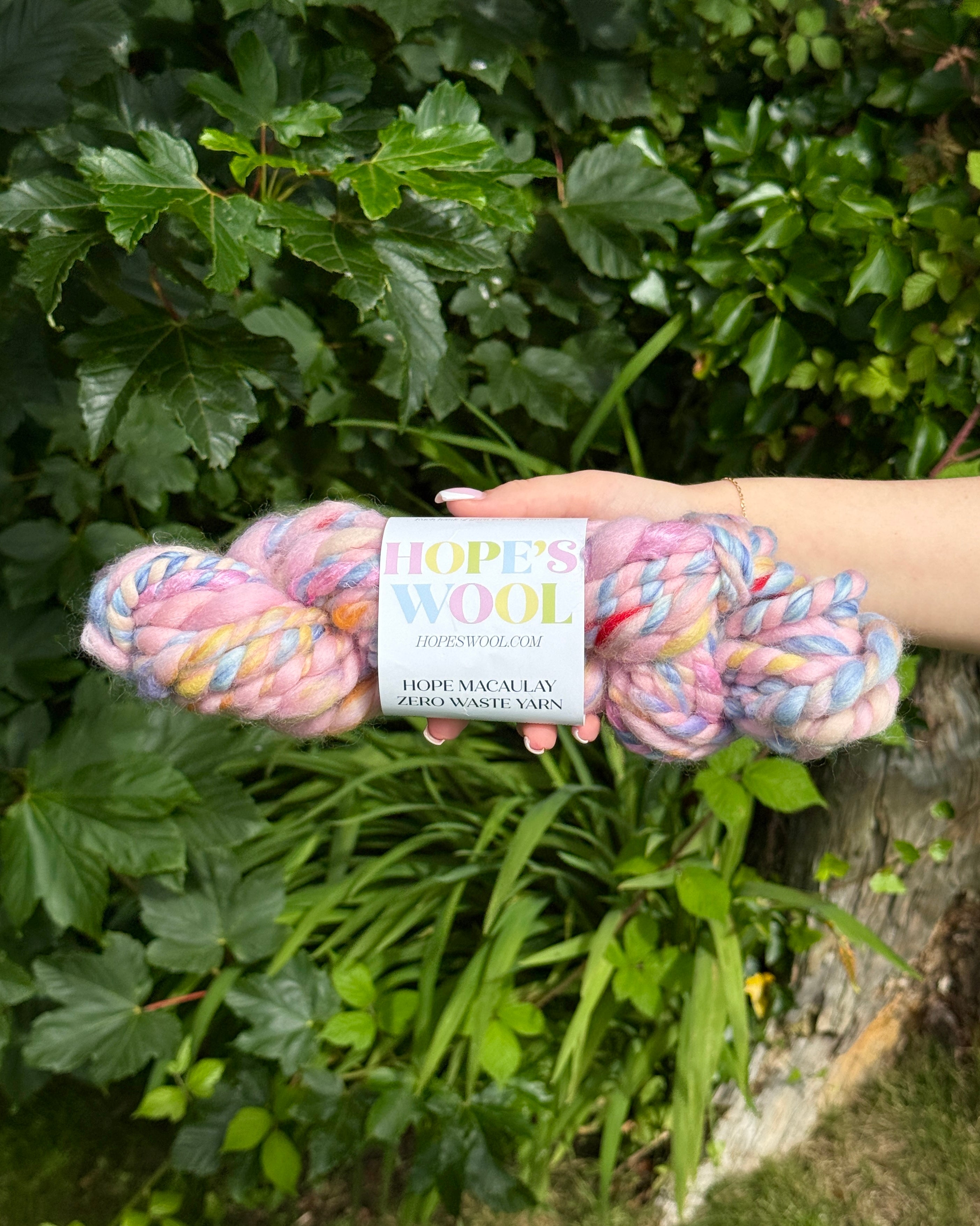Hand holding a skein of multicolored yarn with a Hopes wool label against a green leafy background