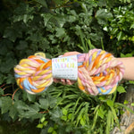 One skein of colourful yarn held in front of a green leafy background with 'Hope's Wool' packaging.