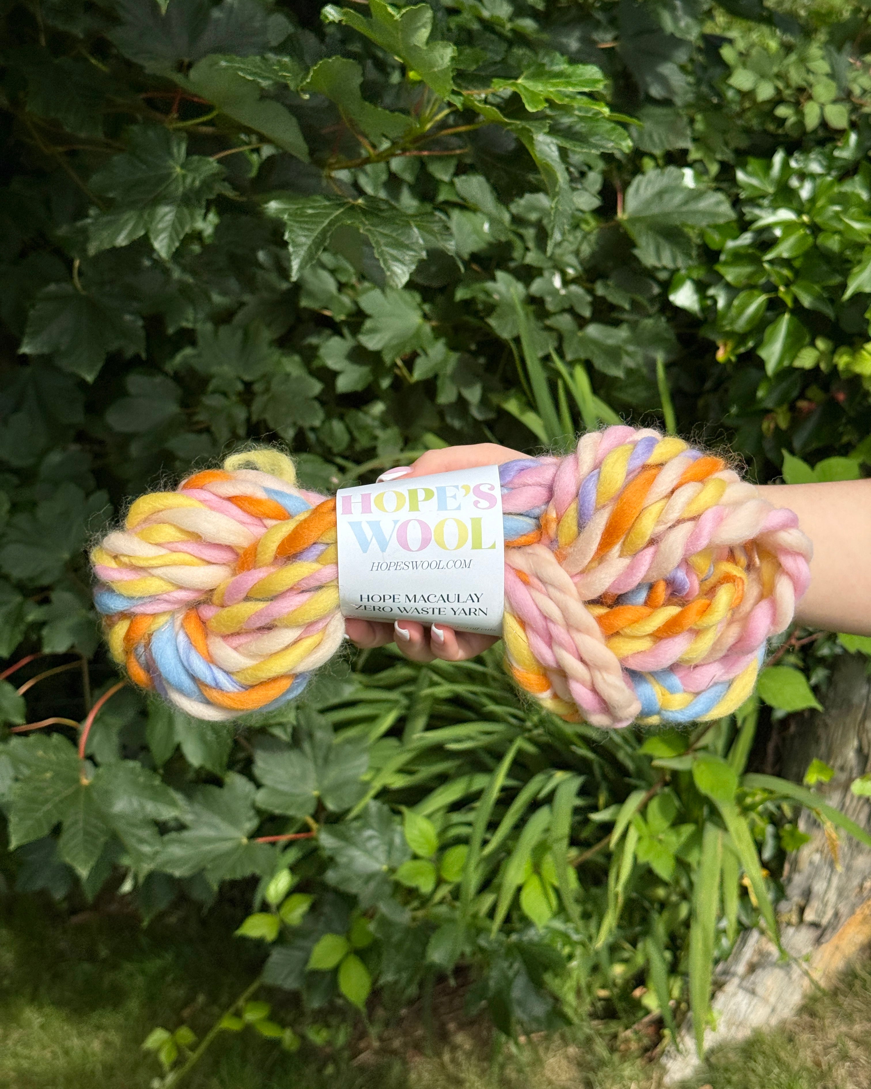 One skein of colourful yarn held in front of a green leafy background with 'Hope's Wool' packaging.