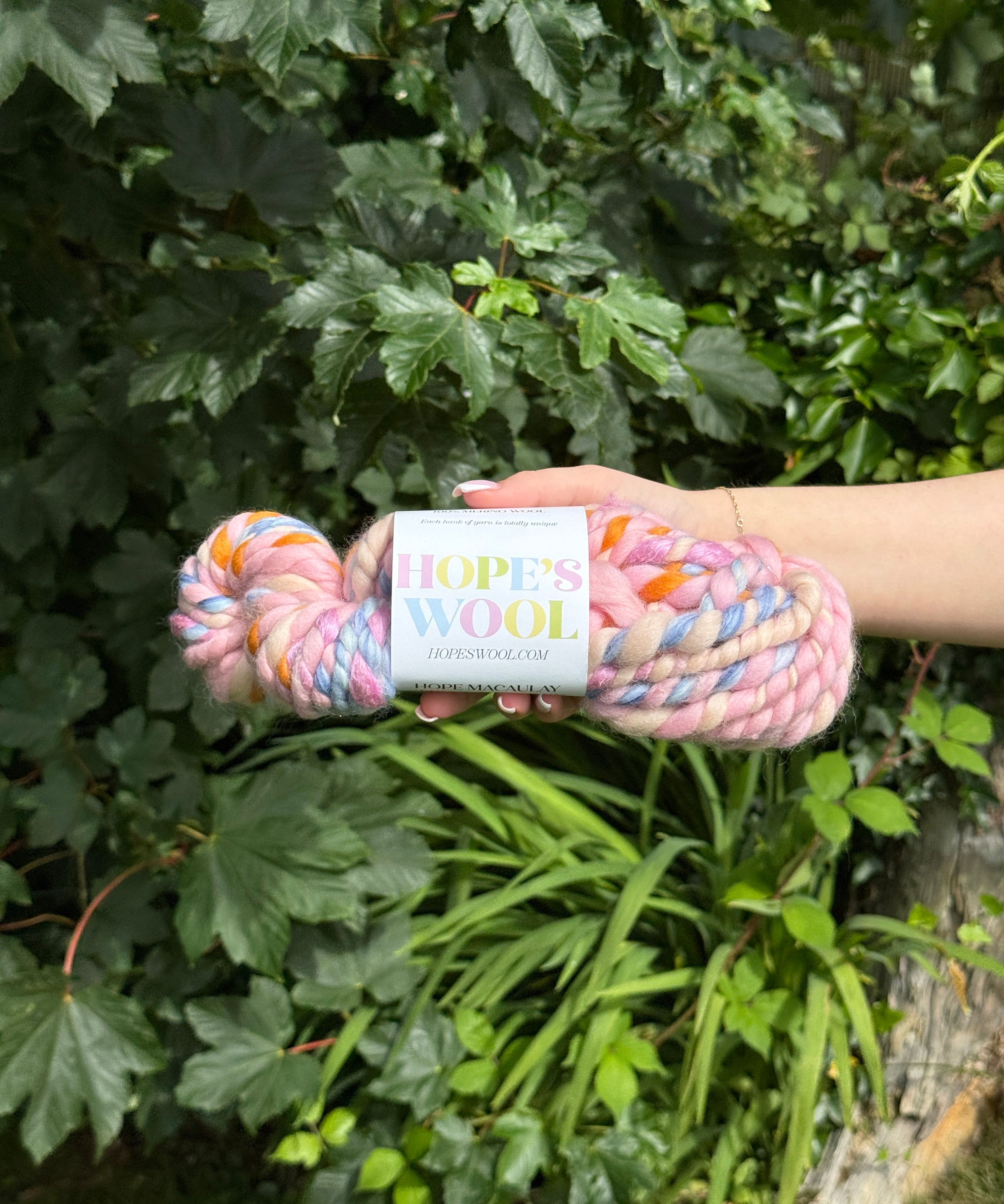 Hand holding a skein of multicolored yarn with a 'Hope's Wool' label against a green leafy background.