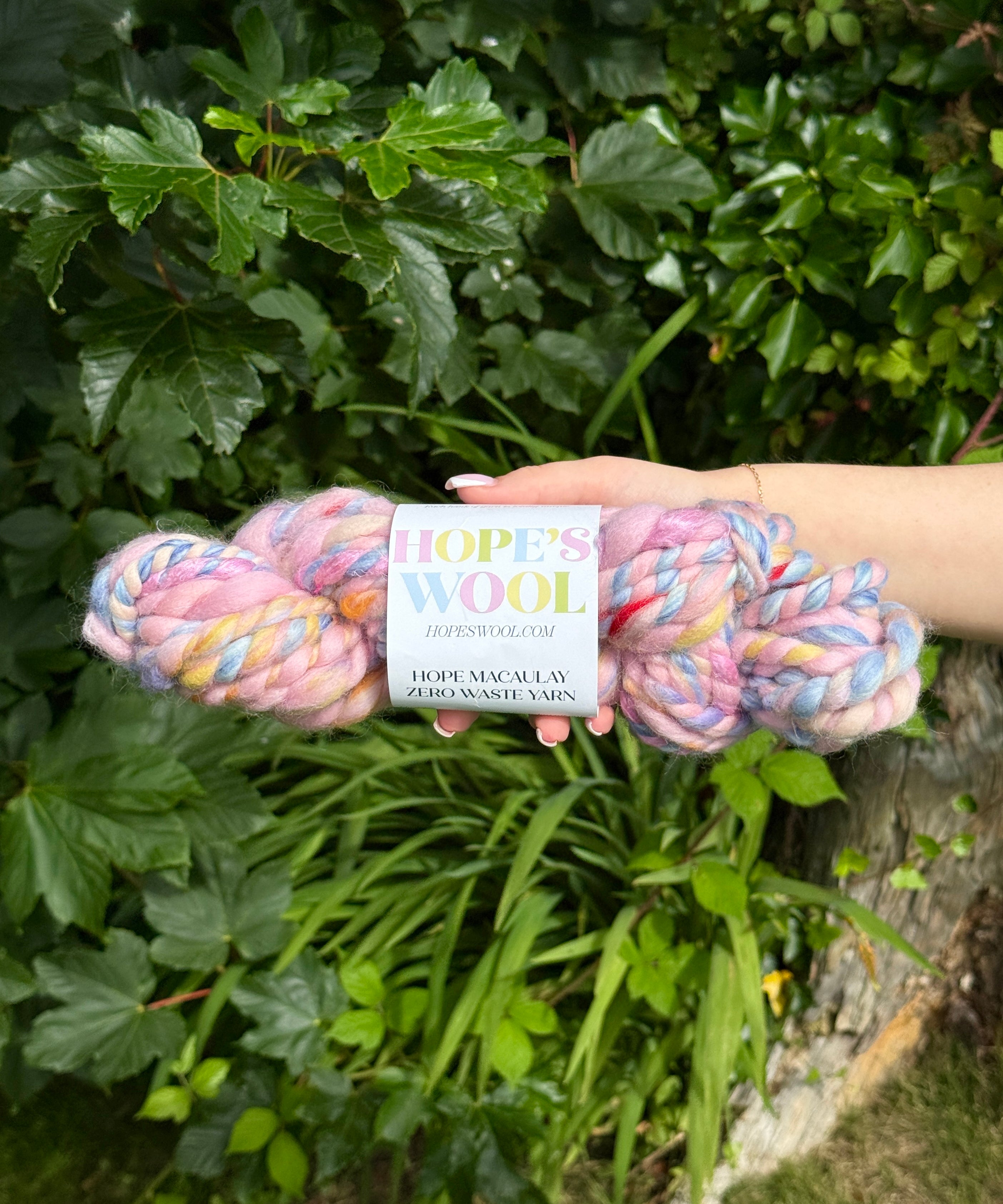 Hand holding a skein of multicolored yarn with a Hopes wool label against a green leafy background