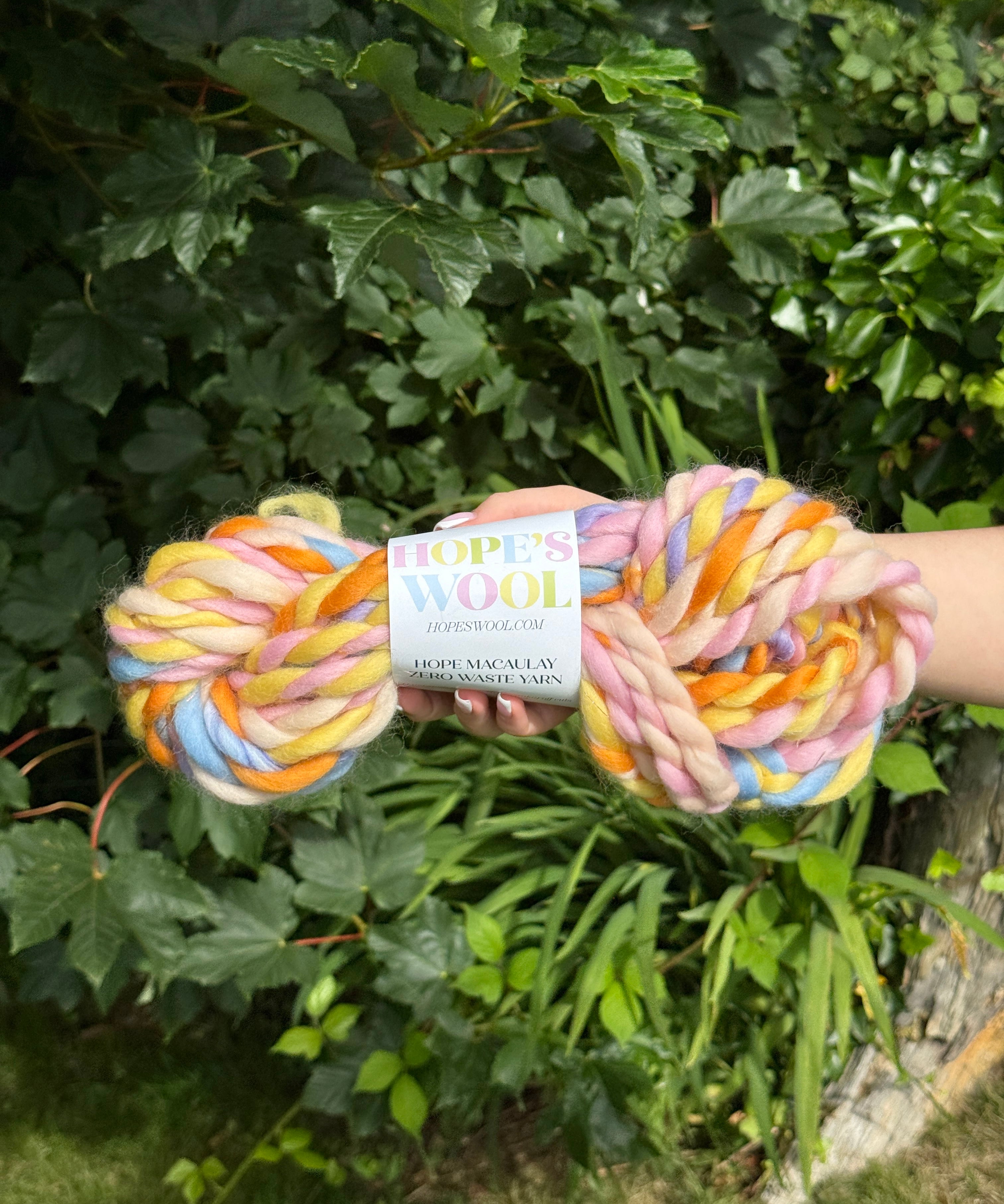 One skein of colourful yarn held in front of a green leafy background with 'Hope's Wool' packaging.