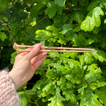 A person holding two wooden knitting needles in front of a bush, ready to start a new knitting project.